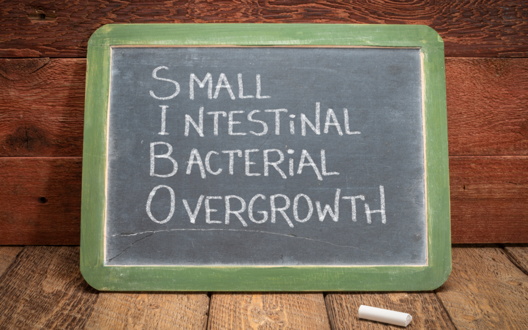 SIBO (Small Intestinal Bacterial Overgrowth): de eventuele verdoken reden achter aanhoudende darmklachten